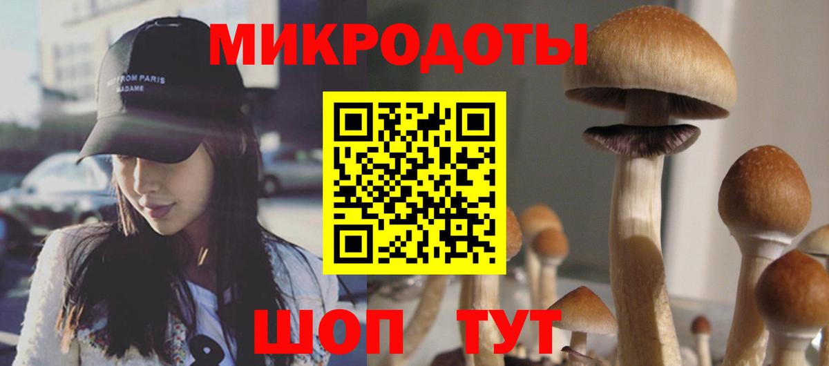 Владивосток  Псилоцибиновые грибы MAGIC MUSHROOMS  Вход с VPN 